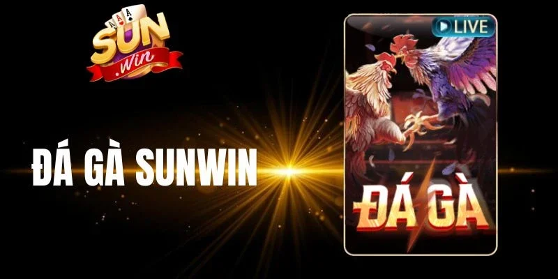 Quy định mức thưởng đá gà Sunwin 